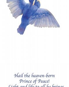 Christmas Card – Kingfisher