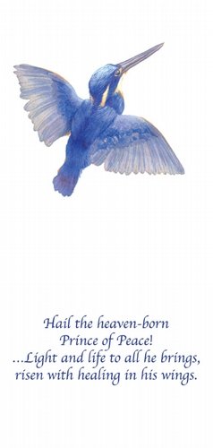 Christmas Card - Kingfisher