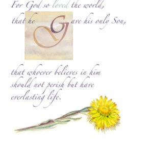 Christmas Card – Everlasting