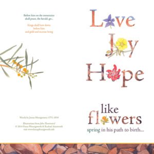 Christmas Card – Love, joy, hope: outback flora