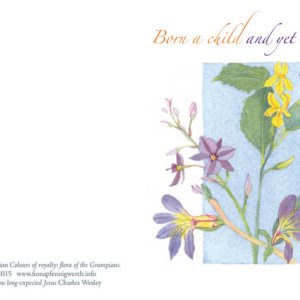 Christmas Card – Colours of royalty