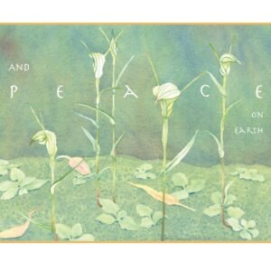 Peace Goodwill (2024)