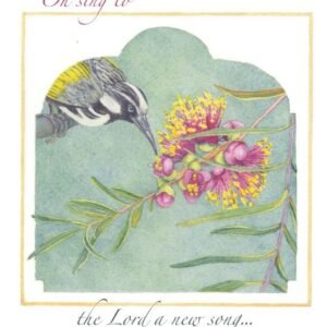 Honeyeater & callistemon (2016)