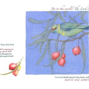 Joy (parrot and quandong) (2014)