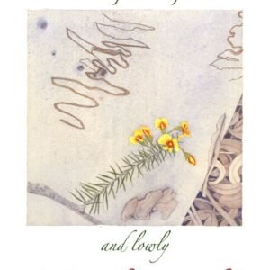 Lowly pea flower (2025)
