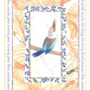 Kookaburra (2008)